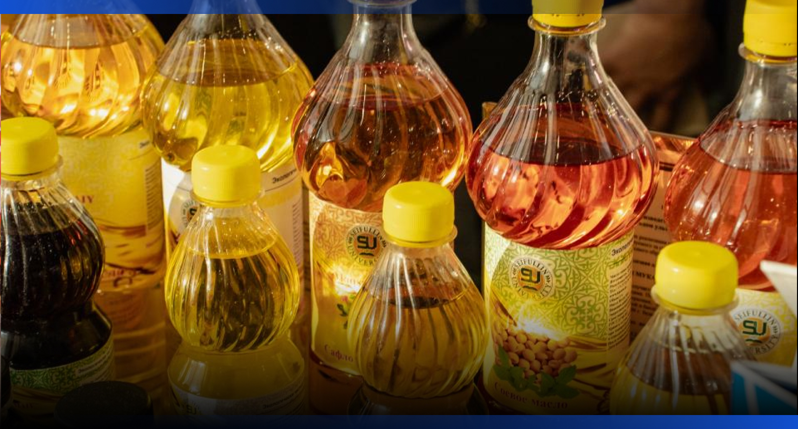 Image for Казахстан нарастил производство растительного масла до 889 тыс. тонн